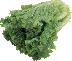 Salad PNG image-2809